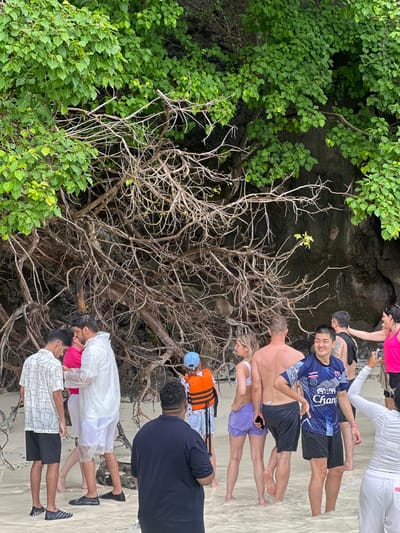In the city of Ton Sai, Thailand, a group of people stand on a sandy beach with shallow water. Dense green foliage overhangs a rocky cliff face covered in exposed tree roots. A man in a white translucent raincoat and white shorts is in the center-left of the frame, facing right. To his left, a man in a white patterned short-sleeved shirt and black shorts is also facing right. A woman in a pink top and shorts is on the far right, facing left, reaching out. Several other individuals are visible in the background, some wearing life vests, and a monkey is perched on a tree branch in the mid-ground.