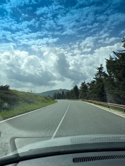 The image presents a forward-facing view from inside a vehicle traveling on an asphalt road in Hristo Danovo, Bulgaria. The road, featuring a solid white line on the left and a dashed white centerline, curves gently to the right and exhibits some surface cracking. To the left of the road, a verdant grassy embankment rises, dotted with green shrubs and small white flowers. To the right, a weathered brown metal guardrail parallels the road, backed by a dense line of dark green coniferous trees. In the mid-distance, rolling green hills or mountains are visible under a dynamic sky. The upper half of the frame is dominated by a bright blue sky filled with numerous white cumulus clouds, ranging from small, scattered formations at higher altitudes to larger, more substantial clouds closer to the horizon. The very bottom of the image shows the vehicle's dashboard and windshield, with reflections visible on the glass and a ventilation grate at the lowest edge. No individuals or animals are present.