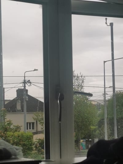 View from a window overlooking a cityscape in Dún Laoghaire, Ireland. The window frame is white. Outside, the sky is overcast. A building with a gray pitched roof and a chimney is visible behind greenery. Several utility poles and wires crisscross the scene. A street light is on the left side of the image, and a taller pole with a camera is on the right. The street features trees and possibly a bus stop or a mural. In the foreground, part of a black object rests, possibly a cat. The handle of the window lock is visible in the center of the frame.