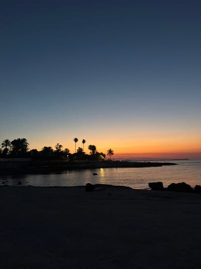 A sunset scene captures the coastal landscape of Rotes, Spain, dominated by a gradient of sky colors transitioning from deep blue to vibrant orange. The silhouette of palm trees and other foliage marks the coastline, with several buildings and streetlights subtly visible amidst the darkness. The calm sea reflects the warm hues of the sunset, creating shimmering patterns on its surface. A dark, sandy beach occupies the foreground, with scattered rocks adding texture to the scene. No individuals or active events are depicted, presenting a serene, twilight view of the coastal environment.
