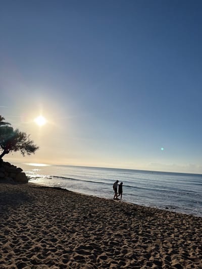 The image depicts a serene beach scene at sunrise in Mont-roig del Camp, Spain. The sun, a bright orb, casts a warm glow over the ocean, creating a shimmering path of light on the water. Two individuals, silhouetted against the bright light, walk along the water's edge on the sandy shore. A lone tree with sparse foliage stands to the left, its base fortified with rocks. The sky is a clear, pale blue, transitioning to a lighter hue near the horizon where the sun is positioned. The foreground is dominated by the textured sand of the beach.