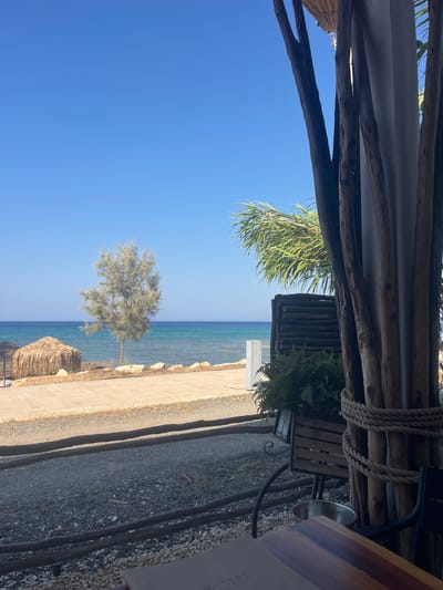 The image shows a view from a shaded outdoor seating area looking out towards the sea. In the foreground, there are several rough wooden poles, some of which are bound with rope, and a table with a wooden top. To the left, there is a metal bin and a planter with green ferns. Beyond this, a paved walkway runs alongside a beach area with a thatched umbrella and a lone, slender tree. The sea is visible in the background, with a clear blue sky overhead. The scene suggests a relaxed coastal setting, possibly a cafe or restaurant in Protaras, Cyprus, given the style of the structures and the tropical vegetation. There are no people visible in the image.