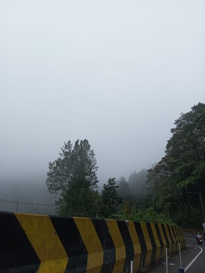 The scene depicts a segment of a mountain road in Phoxay, Laos, under heavy overcast and foggy conditions. A concrete road barrier, painted with alternating black and yellow diagonal stripes, runs across the foreground, extending from the left edge and curving towards the right. Behind this barrier, dense evergreen and deciduous trees rise, partially obscured by thick fog that dominates the upper half of the image, reducing visibility. On the asphalt road section visible to the right of the barrier, two individuals on a motorcycle are observed driving away from the viewer, with a second motorcycle partially visible behind them. White lane markings are present on the wet road surface. The environment is characterized by low light and pervasive mist or fog.