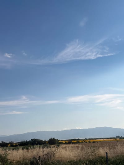 This is a landscape photograph taken in Saraia, Bulgaria. The image depicts a rural scene under a clear blue sky with sparse, wispy clouds. The foreground is dominated by tall, dry grasses, suggestive of late summer or early autumn. A wooden fence runs along the right side of the frame, bordering the field. In the mid-ground, a line of dark green trees runs parallel to the field, and beyond them, a vibrant yellow field is visible, possibly of rapeseed or sunflowers. Further in the distance, a mountain range forms the horizon, its peaks softened by atmospheric haze. The lighting suggests it is daytime, likely late morning or early afternoon, with the sun casting a bright glow. The overall mood of the image is serene and peaceful, capturing the natural beauty of the Bulgarian countryside. There is no visible text in the image.