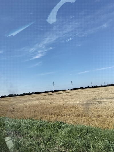 The image shows a wide view of a rural landscape under a clear blue sky with some scattered clouds. In the foreground, there is a strip of vibrant green grass. Behind the grass is a large field of harvested golden crops, likely wheat or barley, with some stubble visible. The field stretches towards a line of trees in the distance, which forms a dark green border against the horizon.

Several utility poles with power lines are spaced across the field, indicating infrastructure in the area. The sky is bright, and a faint contrail from an aircraft is visible high up. Reflections are visible on the surface from which the photo was taken, possibly a window. The overall impression is one of a bright, sunny day in the countryside. The specific location in Myrhorod, Ukraine, cannot be determined from the visual information alone.
