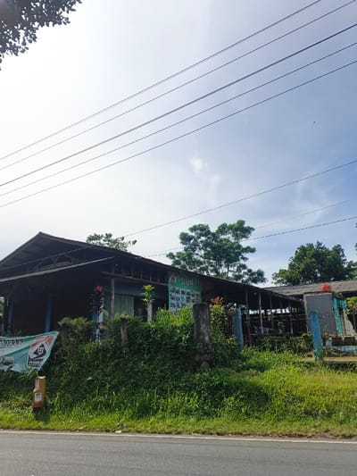 The image presents a daytime scene of a building located alongside an asphalt road, set against a bright, partly cloudy sky. Numerous utility lines stretch across the upper portion of the sky.
The main subject is a rustic, single-story building with a dark roof and light-colored, possibly wooden or painted walls. The structure features open sections, suggesting it might be a small eatery, shop, or a house with an extended porch area. Abundant green vegetation, including tall grass, bushes, and trees, surrounds the building and lines the road, indicative of a tropical environment. A large, leafy tree stands prominently behind the right side of the building.
On the left side of the building, a green banner is displayed, featuring the text "TERA BERAT" and "ANJURAN," along with a logo. Another smaller green sign is attached to the building's wall, partially legible with "KOPI P" visible at the top and several small square images below. A light-colored road marker or post near the left edge of the road displays "KM 101" and "37." A red water tank is visible on the right side of the building. No people are present, and no specific activity is taking place. The scene conveys a tranquil atmosphere under clear daylight conditions, typical of a rural or semi-urban setting.