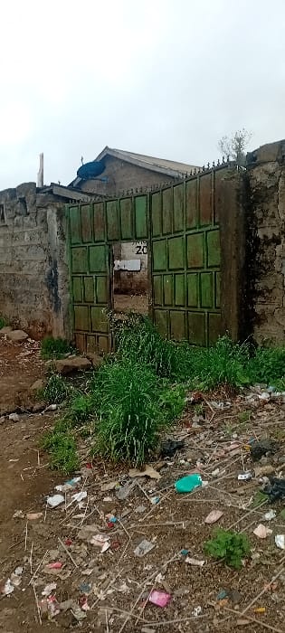 A dilapidated structure with a green, patterned door stands adjacent to a ground covered in litter and sparse vegetation. The door itself is composed of rectangular panels, with a visible opening and a partial paper sign attached. Patches of grass grow nearby. The sky above appears overcast. The image captures a sense of neglect and decay.