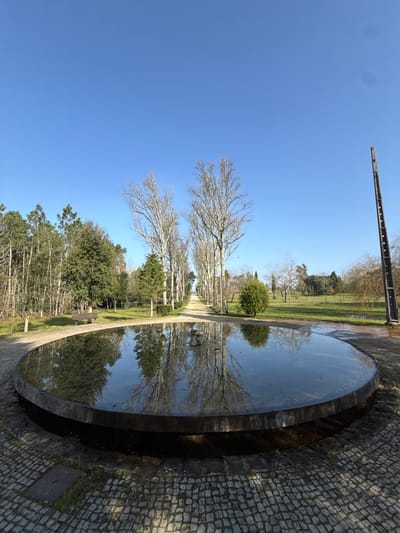 The image depicts an outdoor park scene in the city of Mealhada, Portugal, under a clear blue sky. In the immediate foreground, a large, circular, dark-colored concrete reflecting pool filled with still water occupies the lower half of the frame, its surface reflecting the surrounding trees and sky. The ground around the pool is paved with dark-toned cobblestones, featuring a rectangular metal grate to the left.
Extending from behind the reflecting pool into the distance is a straight, unpaved pathway, flanked on both sides by symmetrical rows of tall, bare-branched deciduous trees, creating a strong sense of perspective. To the left of this pathway, a dense grove of evergreen and some deciduous trees is visible, with a dark wooden park bench situated within. To the right of the pathway, a wide, open grassy area features scattered evergreen and bare deciduous trees, along with several visible puddles on the ground. A tall, slender, dark vertical structure with horizontal divisions stands prominently on the far right. The scene is devoid of people or active subjects. The natural lighting suggests a bright, sunny day.