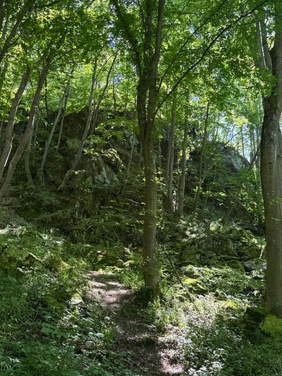 The image depicts a sun-dappled forest path winding through a rocky, wooded incline. The path itself is composed of dark earth and leaf litter, with patches of bright sunlight illuminating the ground. Dense green foliage, including trees and undergrowth, creates a canopy overhead, allowing sunlight to filter through in scattered beams. Moss-covered rocks and stones are prevalent throughout the scene, particularly on the steep, rocky slope to the left of the path. The environment appears natural and undeveloped, suggesting a wild or park-like setting. The specific location within the city of Lozen, Bulgaria, is not identifiable from the visual information alone, but the scene is characteristic of a forested natural area. There are no people or animals visible in the image.