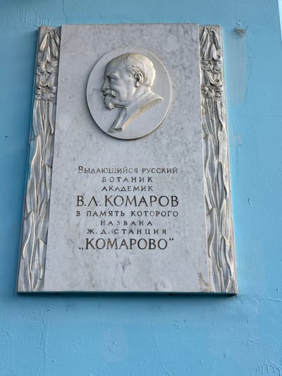 A rectangular marble memorial plaque, featuring a bas-relief portrait and Cyrillic text, is affixed to a textured, light blue wall. The plaque's main subject is a circular bas-relief of a man's bust in profile, facing left, depicting an older man with a beard. Above and below the main text area, decorative carved borders show floral patterns, possibly lilies or similar plants, set against a wavy, leaf-like background design.
The text on the plaque is in Russian and reads:
"ВЫДАЮЩИЙСЯ РУССКИЙ БОТАНИК АКАДЕМИК
В.Л. КОМАРОВ
В ПАМЯТЬ КОТОРОГО НАЗВАНА
Ж. Д. СТАНЦИЯ „КОМАРОВО”"
This translates to:
"OUTSTANDING RUSSIAN BOTANIST ACADEMICIAN
V.L. KOMAROV
IN MEMORY OF WHOM IS NAMED
RAILWAY STATION 'KOMAROVO'"
The plaque commemorates Vladimir Leontyevich Komarov, a prominent Russian botanist and academician, after whom the railway station and consequently the settlement of Komarovo in Russia are named. The light blue wall shows signs of wear, with some flaking paint and uneven texture, suggesting an outdoor setting or an interior with aged paintwork. The lighting indicates it is daytime, casting soft shadows.