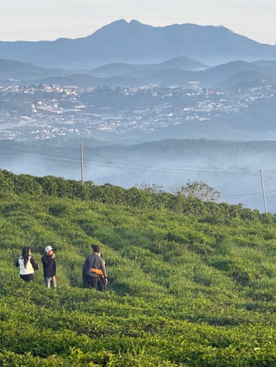 The image captures a panoramic view of a hillside overlooking a misty valley and distant mountains, likely in or around Phát Chi, Vietnam. The foreground features a lush, green grassy slope with several people engaged in various activities. On the left, two individuals stand close together, one wearing a white vest over a black top and the other in a black long-sleeved shirt. To their right, a person in a dark long-sleeved shirt and a cap faces away from the camera, with an arm around another person who is partially obscured.

In the mid-ground, a line of dense green foliage forms a natural barrier across the hillside, with a lone utility pole and power lines extending across the scene. Beyond this, the landscape transitions into a hazy valley dotted with buildings, suggesting a small town or village nestled among rolling hills. The background is dominated by layers of soft, blue-hued mountains that fade into the distance, their peaks softened by the atmospheric haze. The overall impression is one of serene natural beauty, with human presence subtly integrated into the vast landscape.