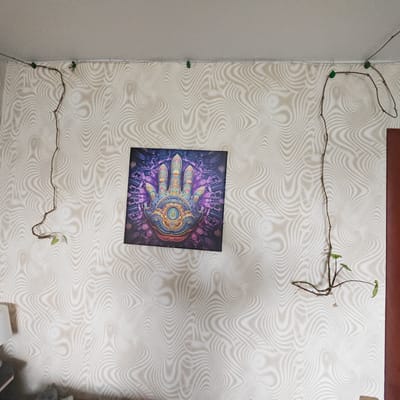 The image captures an interior view of a room, showcasing a wall adorned with light-colored wallpaper featuring a distinct wavy, abstract, and almost psychedelic pattern in a slightly darker shade. Centered on the wall is a square-shaped framed artwork. This piece depicts a highly stylized and vibrantly colored hand, possibly a Hamsa or similar symbolic design, rich with intricate patterns and featuring a prominent eye-like motif in its palm. The background of the artwork is dark, primarily in shades of purple and blue with organic abstract shapes.

Two slender plant vines, adorned with small green leaves, are meticulously trained along the top edge of the wall, near the ceiling. They are held in place by small, green clips. One vine extends from the upper left corner of the image, looping downwards, while the other starts from the upper right, tracing a path downwards on the right side. A plain, light-colored ceiling is visible above the wall. To the far right, part of a brown door frame is seen. In the bottom-left corner, a light-colored, soft object is partially visible. The scene suggests a thoughtfully decorated living space in Novo-Nikol'skoe, Russia. No visible text is present in the image.