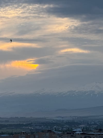 A vertical, full shot captures a wide landscape under a cloudy sky with streaks of golden sunlight breaking through. In the foreground, a single bird is silhouetted against the illuminated clouds. The middle ground reveals a hazy, distant landscape with what appears to be a body of water or a plain, dotted with small dark specks that could be birds or other airborne elements. The background is dominated by a cityscape with buildings of varying heights, some appearing to be multi-story residential structures. The overall mood is serene and somewhat atmospheric, with the dramatic sky suggesting either dawn or dusk. The time of day is likely early morning or late evening due to the golden light illuminating the clouds. The weather appears to be partly cloudy, with the sun's rays creating a striking contrast against the darker clouds. The location is identified as Abovyan, Armenia, which aligns with the architectural style and the general landscape. There is no visible text in the image.