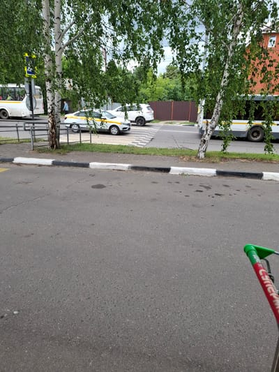 In Pavlovsky Posad, Russia, a street scene unfolds with a pedestrian crossing in the foreground. To the left, a white bus with a yellow stripe is visible, and a white car with a yellow stripe, identified as a taxi, is positioned on the crossing. Further to the right, another white car and a bus are present. Two birch trees with green foliage are prominent in the middle ground. The environment appears to be a typical urban street with a paved road, sidewalk, and green spaces.