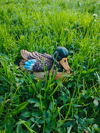 A decorative mallard duck figure sits amongst lush green grass and clover. The duck has a green head, brown wings with blue accents, and a yellow beak. The location is unknown.