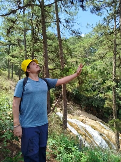 An adult male stands outdoors in a sunlit pine forest in Đa Thọ, Vietnam. He wears a yellow bucket hat, a blue short-sleeved athletic t-shirt, dark blue convertible cargo pants with a visible 'FORCLAZ' logo on the left pocket flap, and a black backpack. On his left wrist, he wears two bracelets, one composed of dark beads and another of lighter, possibly wooden or braided material. The man has a beard and mustache, and he is looking upwards and slightly to his right with his mouth slightly open. His right arm is extended outwards and slightly upwards, with his palm facing the viewer. The background features numerous tall pine trees with green needles, some displaying dark patches on branches or trunks. A clear blue sky is visible through the tree canopy. To the man's right and slightly behind him, a multi-tiered waterfall cascades over light brown, layered rock formations. Dense green vegetation and undergrowth cover the forest floor and surround the waterfall.