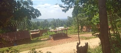 The image depicts a rural landscape in Getenga ward, Kenya, under a partially cloudy sky. A reddish-brown dirt road, approximately 3-4 meters wide, diagonally traverses the foreground and midground from left to right, then curves slightly into the distance. On the left side of the road, a structure with a corrugated metal roof, rusted to a brown hue, and slatted wooden walls is visible. Further right, a rectangular, open-sided shelter or stall with a lighter-colored roof and wooden supports stands near the road. Behind these structures, additional rudimentary buildings with earth-toned walls and various roofing materials are scattered among green vegetation and dirt patches. A wire fence is partially visible near some of these structures. The immediate foreground is framed by dense green foliage, with a prominent tree trunk and a rough tree stump positioned on the right side. In the background, rolling hills covered with dense green trees and vegetation extend to the horizon. Several faint overhead lines (utility wires) are visible stretched across the sky above the landscape. No individuals are discernible within the scene.