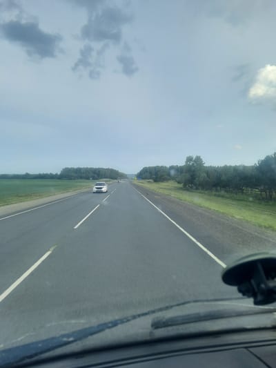 The image is a slightly tilted, wide-angle shot taken from inside a vehicle, looking forward along a two-lane asphalt road. The road stretches into the distance, bordered on the left by a grassy verge and a dense line of green trees. The sky above is overcast with a mix of light and darker clouds.

The primary subjects are the road and the surrounding natural scenery. A white car is visible in the distance, traveling in the same direction as the viewer's vehicle. A partial view of the vehicle's interior is visible on the right side of the frame, including a black rearview mirror assembly.

The activity depicted is travel along a highway. The time of day appears to be daytime, given the ambient light. The weather is cloudy, suggesting it might be a cool or overcast day. The location cues are consistent with a rural or semi-rural setting, possibly in Russia, given the "Troitskoe, Russia" context. There are no discernible emotions conveyed by the image. No visible text is present.