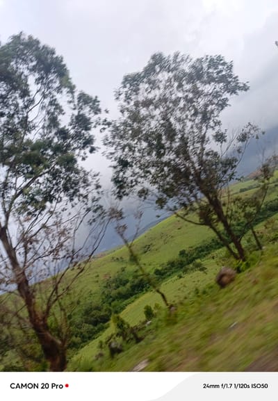 The image is an outdoor, medium-shot photograph captured from a moving vehicle, as indicated by the motion blur and the text overlay at the bottom which states "24mm f/1.7 1/120s ISO50". The scene depicts a lush green hillside in Nguroje, Nigeria. Two prominent trees with dark brown bark and sparse green foliage are in the foreground, partially obscuring the view of the background. Their branches are bare in some areas, suggesting a possible dry season or a type of tree that sheds its leaves. The hillside is covered in vibrant green grass, with some patches of darker green vegetation and what appear to be small shrubs or bushes. In the distance, a hazy, misty landscape is visible, with darker, possibly mountainous terrain shrouded in clouds. The sky is overcast and pale gray, contributing to the muted lighting conditions. The motion blur gives the image a sense of movement and dynamism. There are no people or animals visible in the frame. The bottom left corner of the image contains the text "CAMON 20 Pro" with a red dot, likely indicating the camera model used for the photograph.