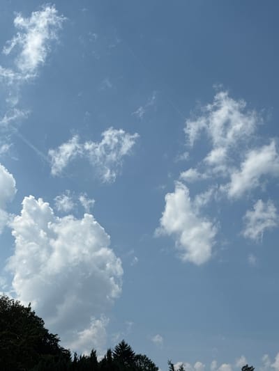 The image shows a partly cloudy sky over the city of Bad Hersfeld, Germany. The sky is a light blue color with several white clouds scattered throughout. The clouds vary in size and shape, with some appearing fluffy and cumulus-like, while others are more wispy and cirrus-like. In the lower portion of the image, a line of dark green trees is visible, suggesting the presence of a park or forest. The overall scene is tranquil and natural, indicative of a pleasant day.