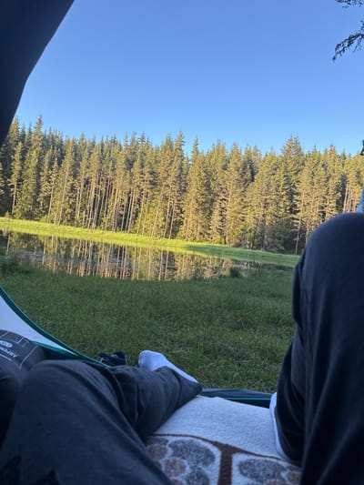 The image depicts a serene outdoor scene, likely captured from inside a tent, overlooking a body of water. The foreground shows the legs of a person, clad in grey sweatpants and white socks, resting on a patterned blanket. To the left, a portion of a green and white tent is visible, with a black sleeping bag or mat labeled "ARPEN..." and a white tag with the number "15" placed inside.
Beyond the tent, a grassy area stretches towards a calm lake. The lake's surface perfectly reflects the dense forest that borders it on the opposite bank. The forest is composed of numerous tall, slender coniferous trees, their green foliage illuminated by the warm light of what appears to be either sunrise or sunset. The sky above is a clear, vibrant blue. The overall impression is one of tranquility and natural beauty. The location is identified as being in the city of Unknown, Bulgaria.