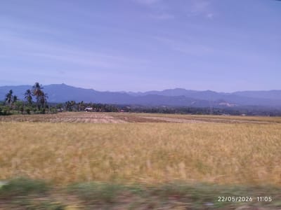 The image depicts a rural landscape in Ierhobglumpang, Indonesia. In the foreground, there is a field of ripe grain, likely rice, blurred due to motion. Some green foliage is visible at the very bottom edge. In the middle ground, there are some palm trees. Beyond that, the horizon includes a scattering of buildings and more trees, with mountain ranges in the distant background under a pale blue sky. A transmission tower is visible. At the bottom right, there is a date and time stamp: 22/05/2026 11:05, suggesting the image was taken from a moving vehicle.