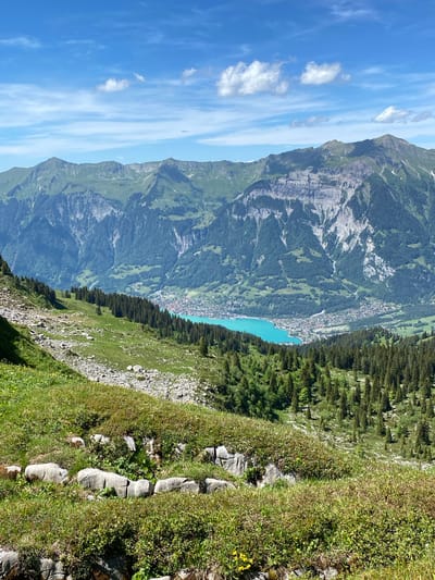 The image shows a high-angle view of a mountainous landscape with a vibrant turquoise lake and a town nestled at its edge. The foreground consists of a grassy slope with scattered rocks and some small yellow flowers. Moving into the mid-ground, a dense forest of evergreen trees lines the slope, creating a stark contrast with the open, grassy areas. Beyond the forest, the town of Brienz (BE), Switzerland, is visible, characterized by its red-tiled roofs and compact buildings clustered along the shores of the turquoise lake. The lake itself is a striking feature, with its brilliant color set against the green of the surrounding landscape. In the background, imposing mountain ranges rise up, their rugged peaks partly covered in green vegetation and some rocky outcrops. The sky above is a clear blue with scattered white clouds, suggesting fair weather. The overall scene is one of natural beauty and tranquility, with the human settlement integrated into the grandeur of the mountains and the striking lake.