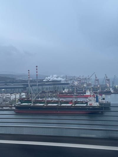The image depicts an industrial port scene in Dilovası, Turkey, under an overcast, hazy sky. In the immediate foreground, multiple dark horizontal lines, consistent with railings or barriers, are visible above a dark, horizontal road surface, indicating an elevated viewing position.
The midground features calm, dark water where several cargo vessels are present. A prominent ship in the foreground displays a dark hull (black and red-brown) with lighter deck areas, multiple cargo hatches, and onboard cranes. Behind this vessel, other ships, including a green-hulled ship and a red-hulled ship, are visible, either docked or anchored.
The background is dominated by an extensive industrial complex. Numerous gantry cranes and other port cranes line the waterfront. Two tall, red and white striped industrial chimneys are prominent, with visible plumes of white smoke or steam rising from industrial facilities located behind them. Large industrial buildings with metallic facades and a cluster of white cylindrical storage tanks are also discernible. Distant hills are partially obscured by atmospheric haze in the far background. No individuals are visibly present.