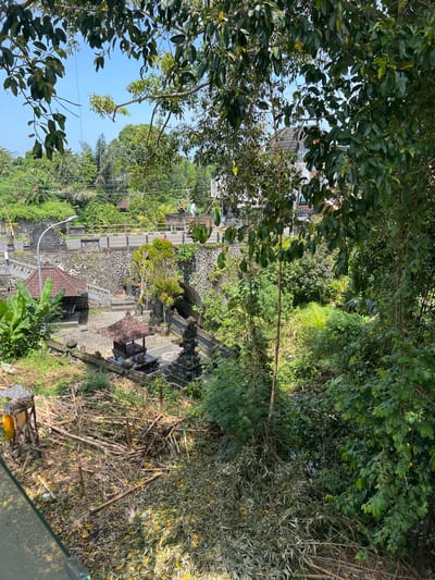 The image shows an elevated view of a temple complex nestled within lush greenery in Buduk, Indonesia. The temple features stone structures, a tiled roof building, and decorative statues. A road with a guardrail runs alongside the temple, suggesting accessibility. In the foreground, there's a cluttered area with bamboo poles, leaves, and some debris, indicating a recent clearing or natural decay. The surrounding environment is densely vegetated with trees and plants, typical of a tropical climate. The sky is visible through the trees.