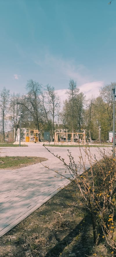 The image presents an outdoor scene of a park pathway in Fryazino, Russia. The foreground shows a paved walkway with brick-like patterns, extending into the background. Along the path, there's a patch of grass growing within the walkway. To the right of the walkway is an area of dry, brown foliage. A leafless bush with yellow buds overhangs the path.
In the midground, the pathway is lined with sparse trees. Across the path are wooden structures. The background features additional trees and a partial view of buildings. The sky above is pale blue with scattered clouds. The general lighting suggests it is daytime. There are no visible people or overt interactions.