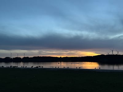 The image depicts a scenic view of the Einfelder See in Neumünster, Germany, during sunset. Silhouetted against the vibrant sky are wind turbines, a forest line, and a body of water. Numerous birds, likely geese and ducks, are gathered along the shore and in the water, adding a natural element to the landscape. The sky displays a gradient of colors, transitioning from a deep blue at the top to warm oranges and yellows near the horizon, indicating the setting of the sun. The foreground consists of a grassy area, suggesting a park or recreational space. The overall atmosphere is tranquil and serene.