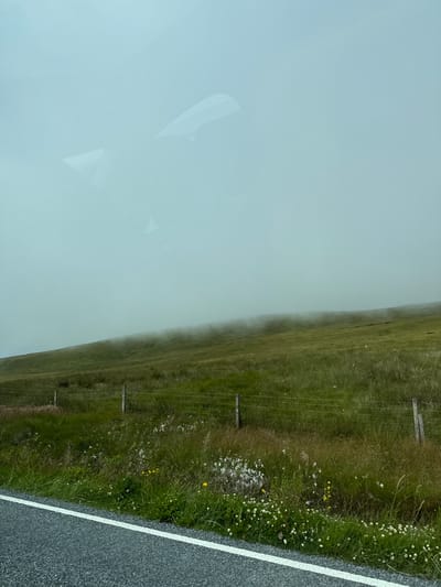 This image shows a foggy landscape in Levenwick, United Kingdom. A green, grassy hill slopes upwards into the fog. A wire fence runs horizontally across the middle ground, with wooden posts visible. The foreground features a paved road with a white line marking its edge. Wildflowers, including small white and yellow blooms, are scattered along the roadside and near the fence. The sky is overcast with fog. There are no people or animals visible in the image. The scene appears to be captured from inside a vehicle, as evidenced by reflections on the upper portion of the image.