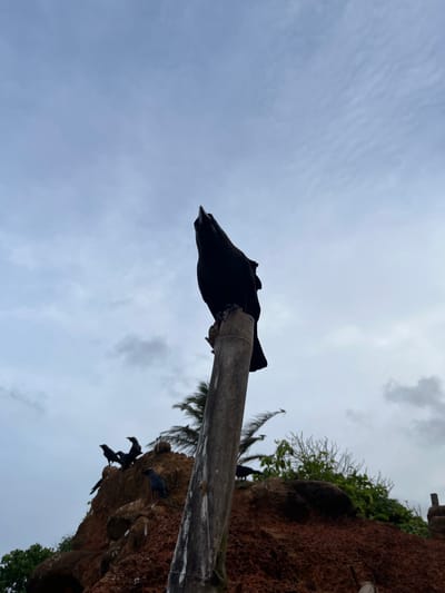 A low-angle, full shot captures a crow perched atop a weathered wooden pole, its silhouette stark against a cloudy sky. The crow is captured mid-pose, its head tilted upwards, beak slightly ajar as if in mid-call or observation. To the left and behind the central figure, a rocky outcrop is visible, dotted with several more crows, some perched on the rocks and others in flight. Lush green foliage and palm fronds peek from behind the outcrop, suggesting a tropical environment. The foreground is dominated by the pole and a portion of the reddish-brown rocky terrain. The overall lighting is diffused, indicative of an overcast day. This scene is located in Thalaramba, Sri Lanka, a region known for its coastal beauty and avian life.