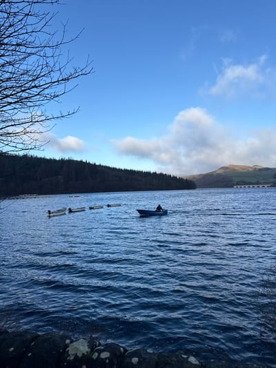 A wide-angle photograph depicts a reservoir in the High Peak area, United Kingdom, under a clear blue sky marked by scattered white cumulus clouds. The foreground consists of rippled, dark blue water. A low, dry stone wall or rocky bank occupies the bottom edge of the frame. Bare tree branches are visible in the upper left, silhouetted against the sky. The distant shoreline is dominated by a dense, dark green coniferous forest covering a hill, which transitions to lighter green, open hills on the far right. A multi-arched bridge or viaduct structure is discernible in the far distance on the right side of the frame. In the mid-ground, a single individual, dressed in dark clothing, operates a light blue, motorized boat, moving from right to left across the water and leaving a visible wake. To the left and slightly behind this moving boat, at least five additional smaller, light-colored boats, some equipped with outboard motors, are stationary in a line. Several orange buoys are also present further left in the water.