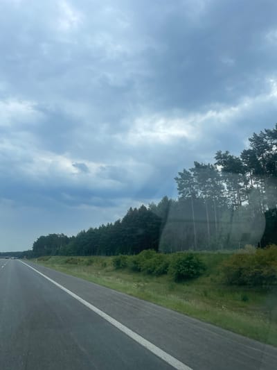 The image shows a view from a vehicle on a highway, likely traveling through or near Torzym, Poland. The highway is paved, with a white line marking the lane. To the right of the highway, there is a grassy embankment lined with trees, primarily pine trees, forming a dense forest. The sky is overcast with dramatic, textured clouds, and there are some sun rays piercing through. A few cars are visible in the distance on the highway. The scene depicts a natural, somewhat moody landscape from a moving vehicle's perspective.