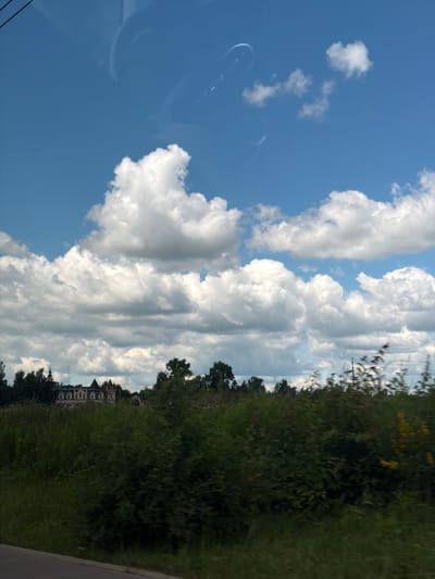 A wide-angle shot captures a rural landscape under a bright, cloudy sky. In the distance, a large, ornate building with multiple gabled roofs and arched windows stands amidst a line of trees. The foreground is dominated by lush green foliage, with tall grasses and bushes obscuring the lower portion of the building. The sky is a vibrant blue, filled with fluffy white cumulus clouds. A portion of a road is visible in the bottom left corner of the frame. The image appears to be taken from a moving vehicle, suggested by the slight blur in the foreground vegetation. The scene is serene and picturesque, evoking a sense of natural beauty and historical architecture. The specific location is stated to be in the city of Kozenki, Russia.