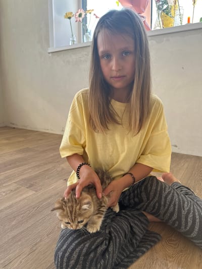 In Мокино, Russia, a young girl with long, straight brown hair and blue eyes sits on a wooden floor, holding a tabby kitten on her lap. She is wearing a yellow t-shirt and dark grey, striped pants. Her hands are gently stroking the kitten, which is looking down. In the background, a window with several flowers in vases is visible, as is a cream-colored wall.