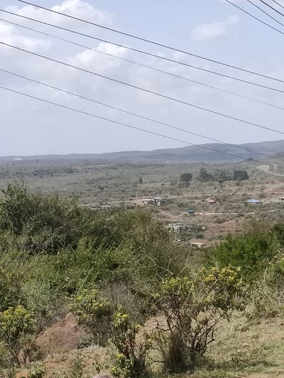Hilly landscape with scattered vegetation and a few visible structures, possibly dwellings, nestled within. Overhead power lines stretch across the sky. The sky itself is overcast with a light, hazy quality. In the foreground are bushes and sparse grasses on a slope, suggesting a dry or semi-arid environment. A faint mountain range is visible on the horizon.