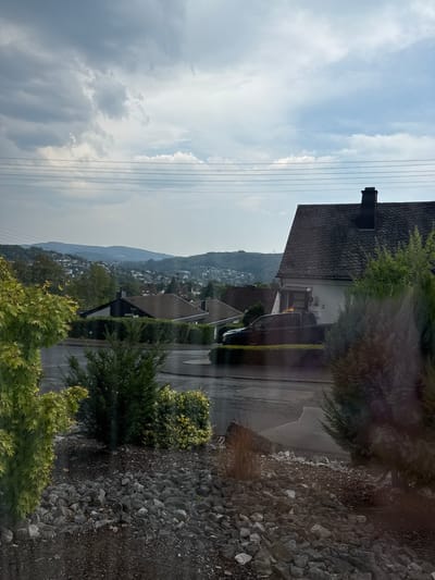 The image shows a view from a window looking out over a residential area and a hilly landscape under a cloudy sky. In the foreground, there is a rocky bed with some low green bushes and a larger leafy green tree on the left. Beyond the bushes, a paved road is visible, appearing wet, suggesting recent rain. Several houses with tiled roofs are visible along the road, set back from the street and surrounded by manicured hedges. One house, in the mid-ground on the right, is white with a dark tiled roof and a prominent black chimney. A dark-colored pickup truck is parked in front of this house, and a German flag is visible in its bed. In the background, a town stretches across the slopes of rolling hills covered in greenery. Power lines are strung across the sky in the upper portion of the image. The overall scene depicts a suburban or semi-rural environment in Betzdorf, Germany.