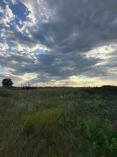 This is a full shot, taken outdoors in a field, likely in the city of Bayagiz, Kazakhstan. The sky is filled with dramatic, dark clouds, with patches of bright blue sky visible and shafts of sunlight breaking through. In the middle ground of the image, there is a flatbed trailer with some metal scaffolding. To the left, a lone tree stands tall. In the far distance, what appear to be homes or structures can be seen. The foreground is a dense field of tall green grass and other vegetation, with some scattered white wildflowers. The terrain is uneven, with a slight rise towards the right side of the image where a pile of dark soil or compost is visible. The overall impression is one of a rural, possibly slightly unkempt, landscape under a dynamic sky. There are no people visible in the image.