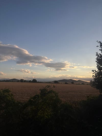 This image depicts a vast agricultural field, likely a wheat or barley field given its golden-brown hue, under a sky with scattered clouds. In the distance, rolling hills or low mountains form a horizon line. The sun appears to be setting or rising, casting a warm glow on the clouds and the landscape. The foreground is dominated by the dark silhouettes of trees and foliage, suggesting the photograph was taken from a slightly elevated position looking out over the field. The scene appears rural and tranquil, with no people or structures immediately visible within the main expanse of the field. The location in Naiden Gerovo, Bulgaria, would place this scene in a rural area of the country known for its agricultural landscapes.