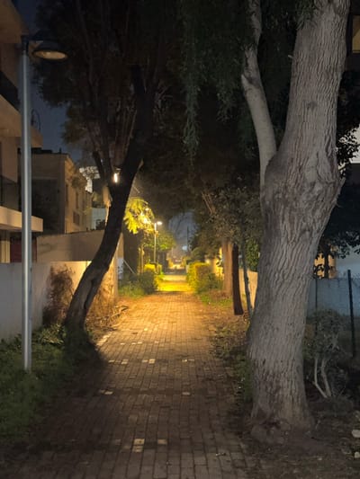 The image displays a quiet, narrow outdoor pathway at night in Egkomi Lefkosias, Cyprus. The path, constructed from light-colored brick or stone pavers, runs vertically along the right side of the frame, brightly illuminated by multiple artificial light sources that cast a warm yellow glow. This illumination highlights the path's texture and creates shadows, contrasting with the surrounding darkness.

Two large, thick tree trunks span horizontally across the mid-ground, effectively framing the pathway and creating a natural arch or tunnel effect. Their textured bark is visible, along with some foliage. The area surrounding the path and trees is filled with dark green vegetation, including bushes and dense foliage, enhancing the enclosed feel of the scene.

Further down the illuminated path, several streetlights are visible, their warm light extending into the background where dark, partially visible buildings or structures can be discerned. A dark fence line is also present in the upper right portion of the image. In the bottom left, a metal pole equipped with a light fixture or utility box is visible.

The scene is devoid of any human or animal activity, contributing to an atmosphere of stillness and peaceful solitude. The artificial lighting creates an inviting passage through the otherwise dark nocturnal environment. No discernible text is visible within the image.
