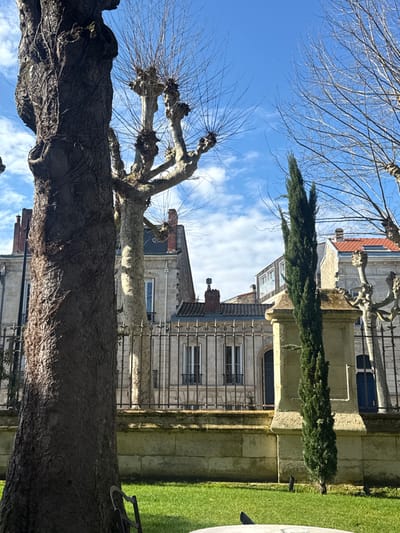 The image displays an outdoor urban scene in Bordeaux, France, under a clear blue sky with scattered white clouds. In the immediate foreground, a substantial dark-barked tree trunk occupies the left side of the frame, partially obscuring the view. Bright green, manicured grass covers the lower section of the image, with a partial view of a white circular table and a dark chair back at the bottom right.

The midground features a light-colored stone wall, topped by an ornate dark metal fence with vertical bars and decorative elements. Behind this fence are traditional multi-story stone buildings. One building, visible on the left, is light-colored and features tall windows and a chimney. Further right, a building with a dark tiled roof and a prominent chimney is visible, displaying two windows with small balconies directly behind the fence. A tall, slender dark green cypress tree stands upright in front of a light-colored stone pillar, which is part of the fence structure, in the center-right. Several deciduous trees with distinctive pollarded branches, devoid of leaves and featuring numerous fine twigs, are scattered throughout the midground and background against the sky. No human figures are present.