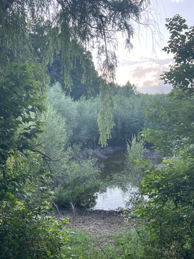 The image depicts a tranquil scene of a small, natural body of water surrounded by dense, lush vegetation. The water appears dark and still, with reflections of the sky and surrounding trees visible on its surface. The banks of the water are lined with dry reeds and fallen branches, suggesting a natural, uncultivated environment. The dominant colors are various shades of green from the trees and plants, with the sky above showing soft clouds and hints of sunlight.
The location is identified as being in the city of Krasnokutsk, Ukraine. The scene is characterized by its natural beauty and a sense of seclusion, likely a quiet spot within the Ukrainian landscape. No people or animals are visible in the image, contributing to the peaceful and undisturbed atmosphere. The time of day appears to be late afternoon or early evening, given the soft light and the appearance of the sky.