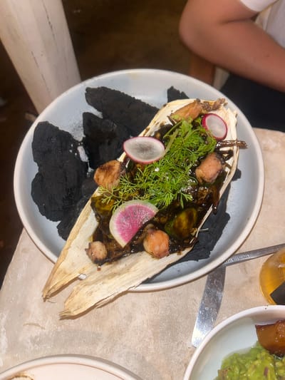 The image shows a partially eaten dish on a white plate. The dish consists of corn husks, dark sauce, small pieces of meat, radish slices, and green sprigs, arranged on top of charcoal fragments. The plate is resting on a beige surface next to a knife, a beer bottle, and another plate containing food (guacamole and meat). An arm is visible in the upper left corner. The setting appears to be a restaurant. Based on the information given, the location is Brisas de Zicatela, Mexico.