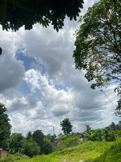 This outdoor photograph presents a lush, natural landscape viewed upwards towards a dynamic sky. The scene is dominated by dense green foliage framing a partly cloudy sky, characteristic of a daytime setting.
In the upper-left and lower-left portions of the frame, the branches and leaves of large trees are visible, forming dark green silhouettes against the brighter sky. The sky itself features large, fluffy white and grey clouds interspersed with patches of clear blue, indicating a partly cloudy to mostly cloudy condition.
The right side of the image reveals a vibrant expanse of vegetation, suggesting a rural or semi-rural environment. Various trees and plants, including what appear to be banana trees with their broad leaves and several distinct palm trees, populate this area. A tall, slender utility pole with a crossbar stands vertically amidst the greenery in the middle-right section. In the far distance, faint outlines of hills or a rising terrain can be seen beneath the clouds. Small, indistinct structures are partially visible among the trees on the right, blending into the environment.
There are no people or specific activities depicted. The bright, natural light suggests it is daytime. The vegetation types are consistent with a tropical climate, aligning with the given location context of Amoso, Nigeria. No visible text is present in the image.
