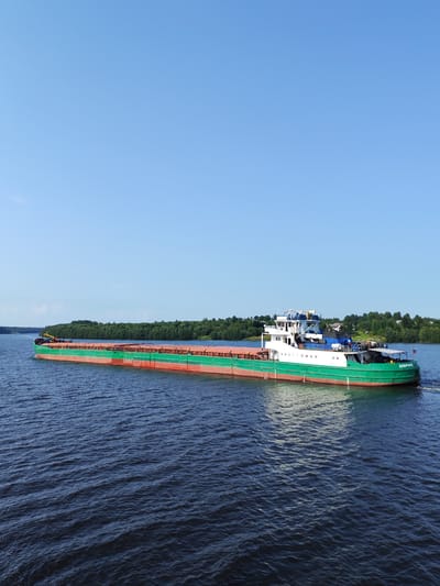 A long, green and red barge travels on a calm, dark blue body of water under a clear blue sky. The barge is laden with cargo, covered by a bright orange tarp. A white and blue superstructure is visible at the stern of the barge. The stern of the barge has the name "ДОБРЫНЯ" printed on it. Along the left bank of the water, a dense, green forest stretches into the distance. The scene appears to be in a rural or natural setting.