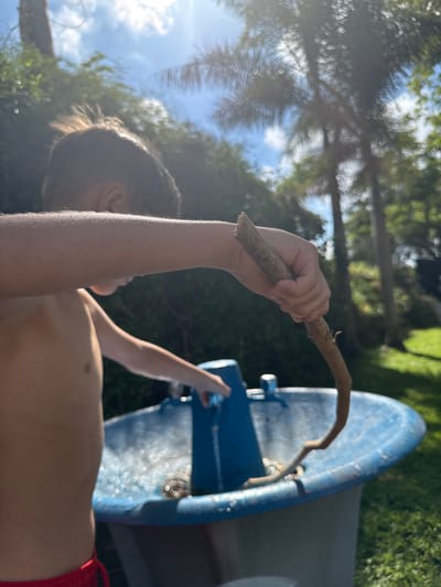 A child, seen from the chest up, is holding a curved stick with their right hand over a large blue tub. The child is wearing red shorts. The tub is filled with water and reflects the sky. In the background, palm trees and green foliage are visible under a bright, sunny sky. The scene appears to be outdoors in a residential area, possibly a backyard, given the presence of a tub and green grass. The overall atmosphere is one of outdoor recreation or play. The location is in Beit Yitzhak-Sha'ar Hefer, Israel.