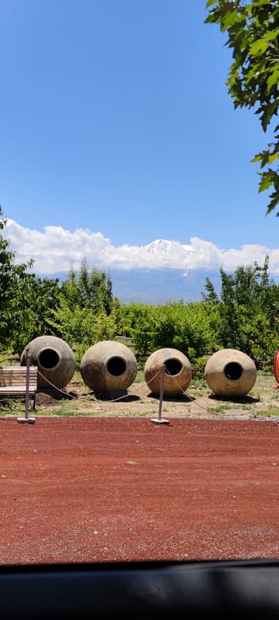 In Taperakan, Armenia, four large, spherical clay amphorae are displayed outdoors on a dirt surface. The amphorae are arranged in a line from left to right, with a wooden bench visible to the left of the first amphora. Each amphora has a circular opening at the top. Red rope barriers connect posts placed in front of each amphora. Behind the amphorae, a dense green hedge and trees form a backdrop. In the distance, a snow-capped mountain range is visible under a bright blue sky with scattered white clouds. The foreground is a red, gravelly surface.