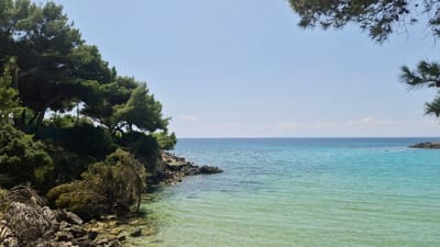 The image depicts a coastal scene at a beach in Leporano, Italy. Lush green pine trees and dense vegetation cover a rocky incline that slopes down towards the sea. The water is a vibrant turquoise, transitioning to a deeper blue on the horizon. The clear water reveals the sandy and rocky seabed in the foreground. The sky is a clear, pale blue with a few wispy clouds. The overall environment is serene and natural, indicative of a Mediterranean coastline. There are no people or specific activities visible in the frame.
